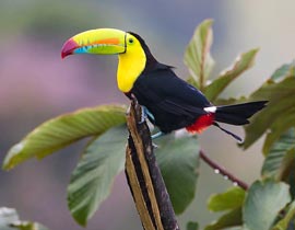 Ideas for Save Energy